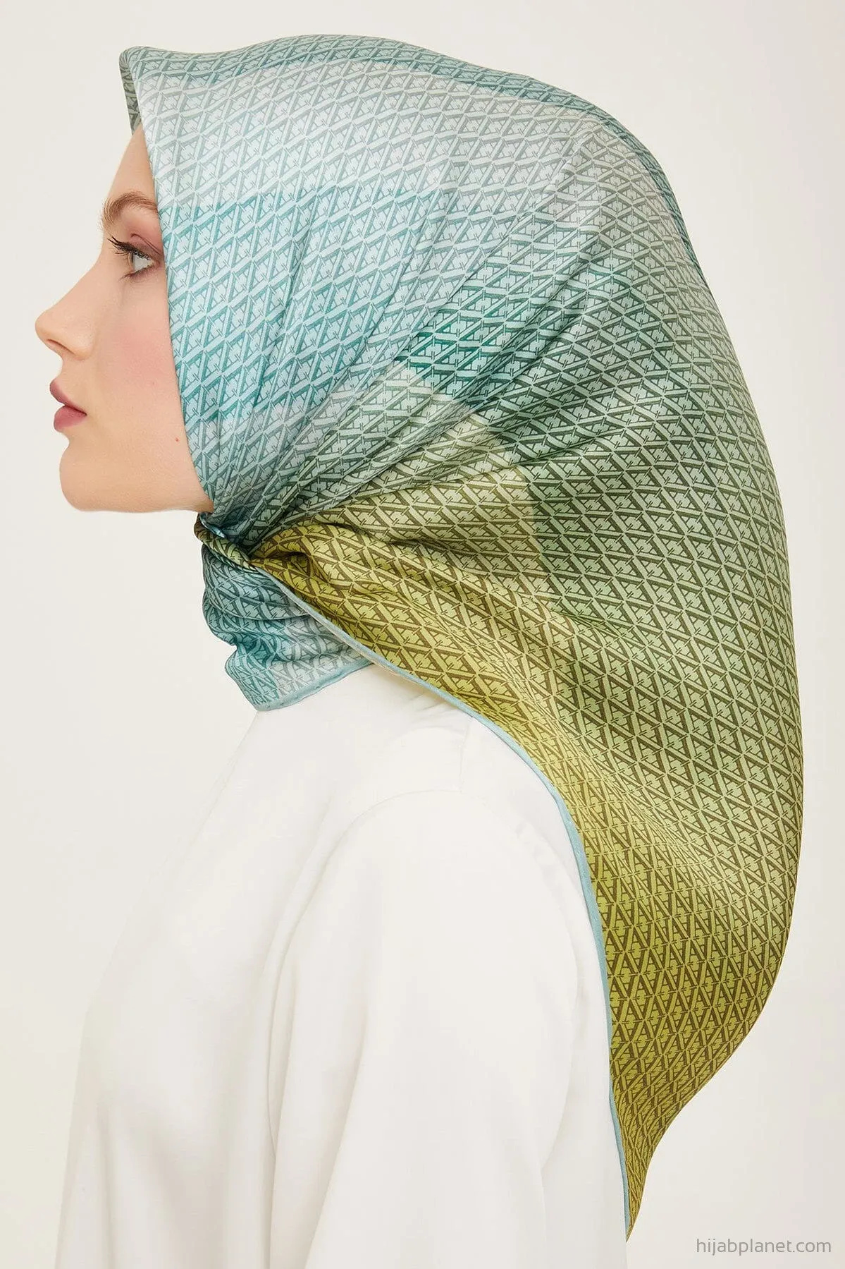 Armine Hathway Women Silk Scarf #84