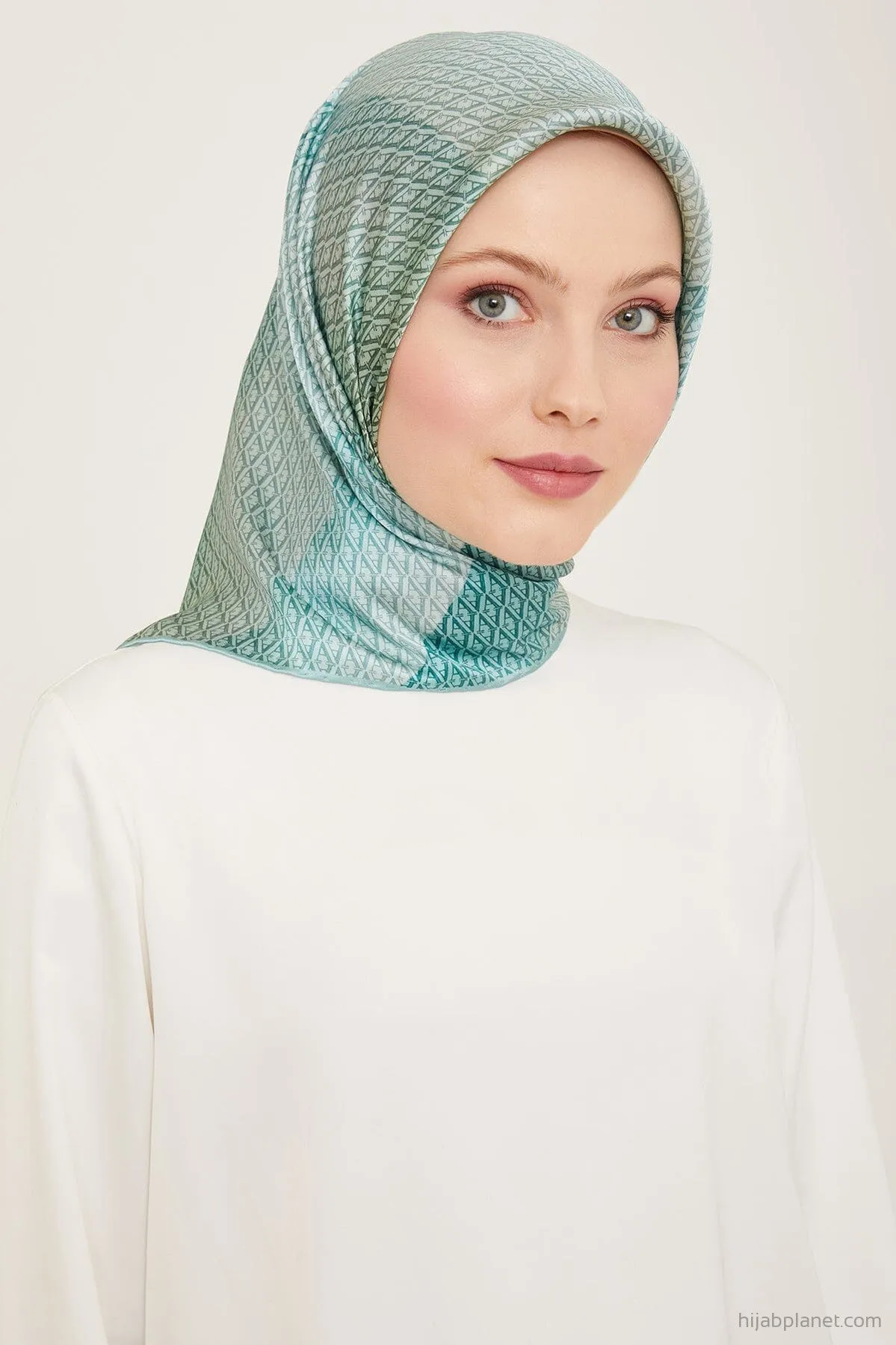 Armine Hathway Women Silk Scarf #84